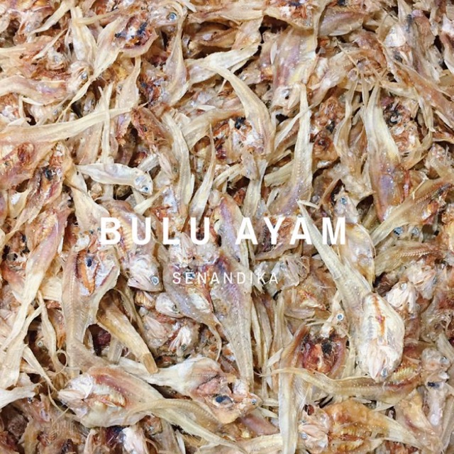 Ikan Asin Bulu Ayam 1 KG