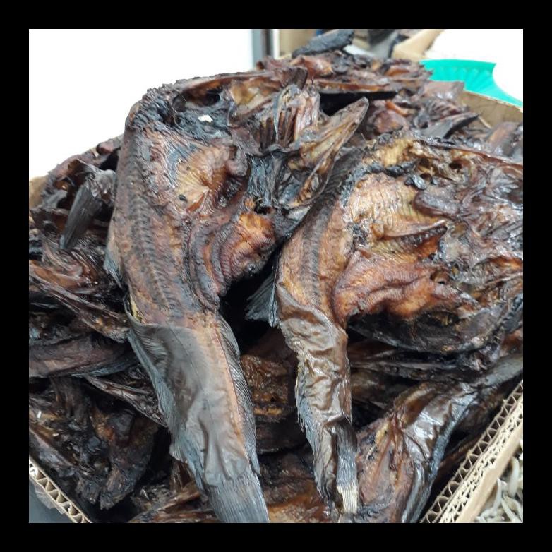 

UPDATE! IKAN SALE/LELE ASAP MURAH