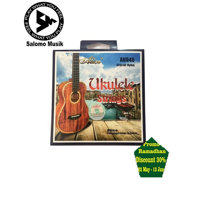 alice ukulele string senar concert