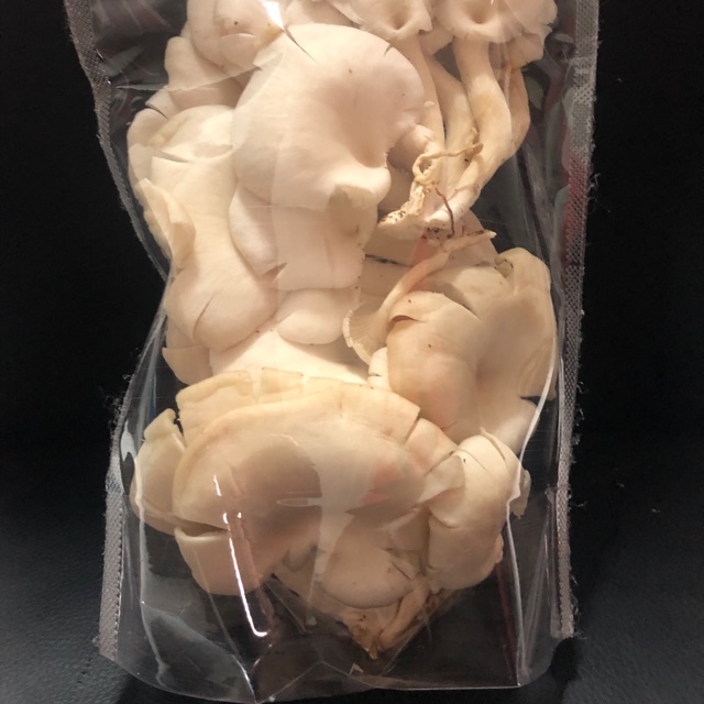 

Jamur tiram segar 1kg lgsg dr petani kwalitas bagus, suply pasar & restorant