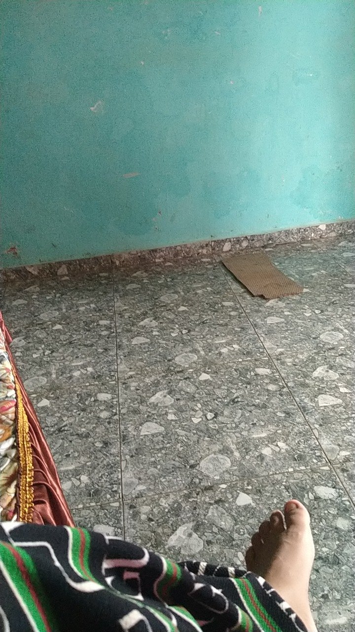 Dian Batik Hrb026 Kenongo Kemeja Abu Bata Pendek Pekalongan Padi M L Xl Kemeja Batik.