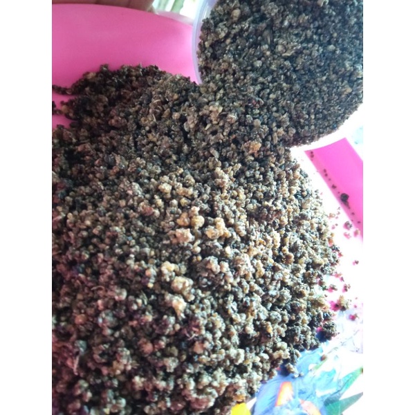 

tiwul hitam