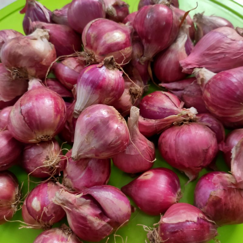 

Bawang merah Brebes 250gram