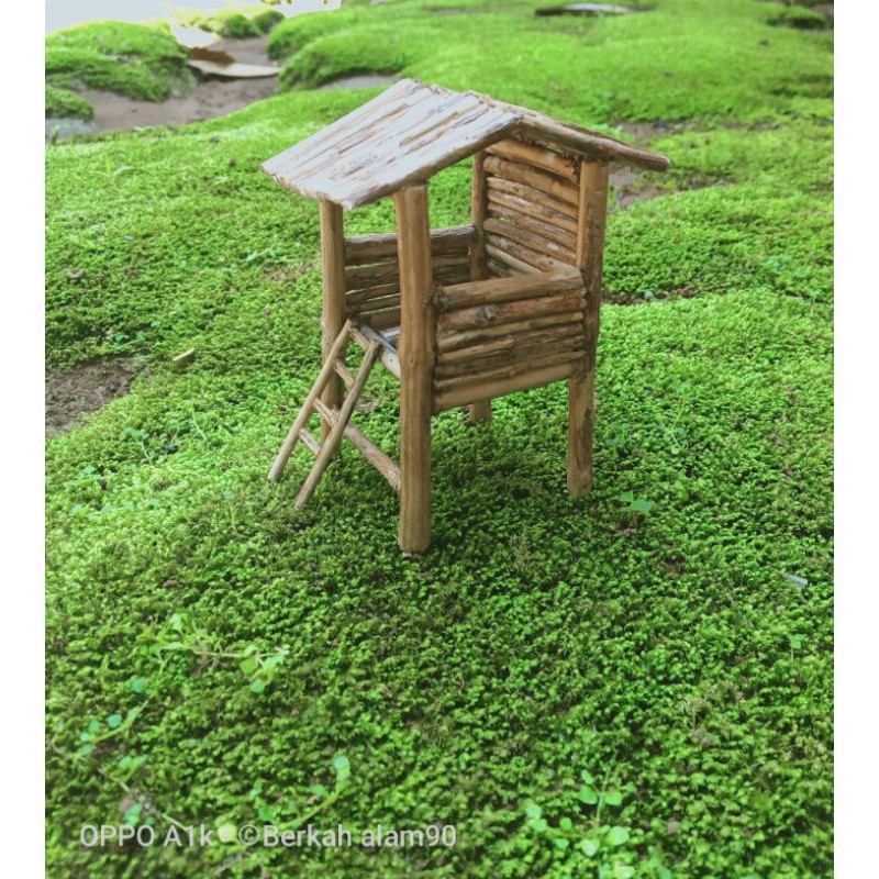 Hardscape Gubuk kenangan untuk aquascape atau paludarium