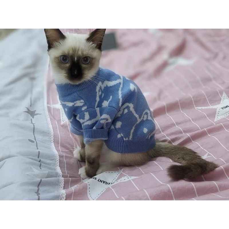 Orange &amp; Blue Bear Knit Top for Cat Dog Baju Anjing Kucing Lucu