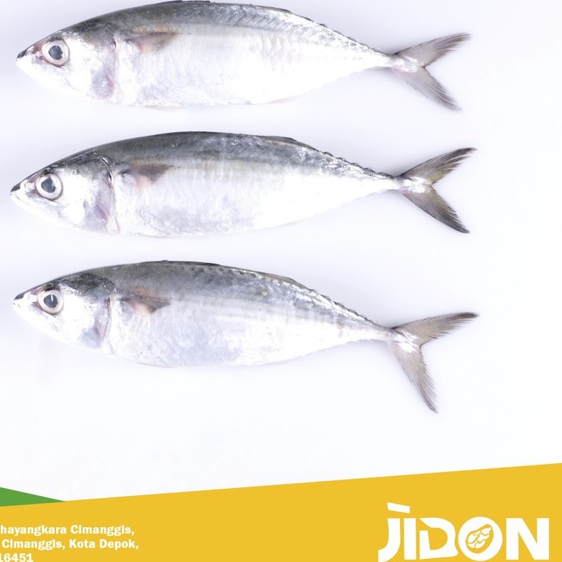 

JUAL IKAN LAUT/IKAN SEGAR/IKAN KEMBUNG BANJAR 500gr - 1kg