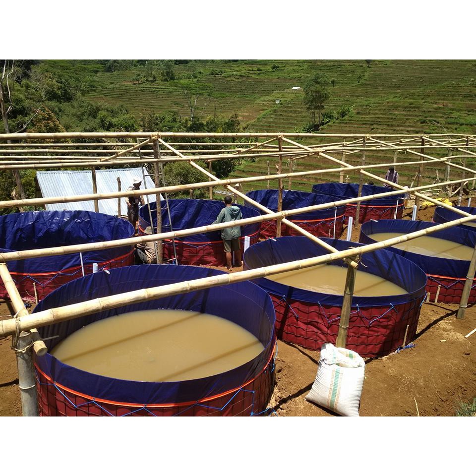 Kolam terpal bulat D5 x T1,2