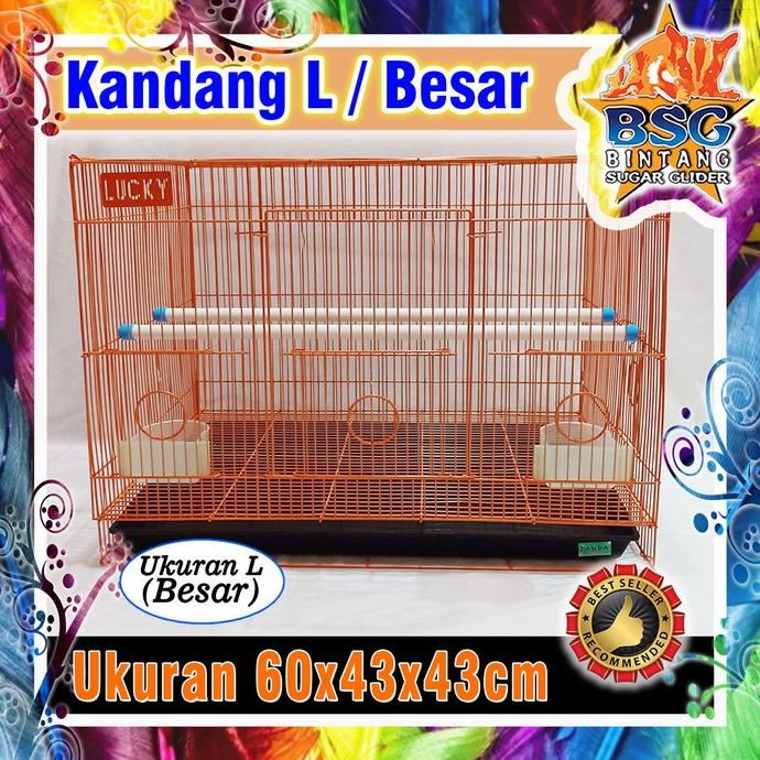 Kandang Kucing / sugar glider / kelinci / burung / hamster dll -JUMBO - KANDANG JUMBO ---Murah---