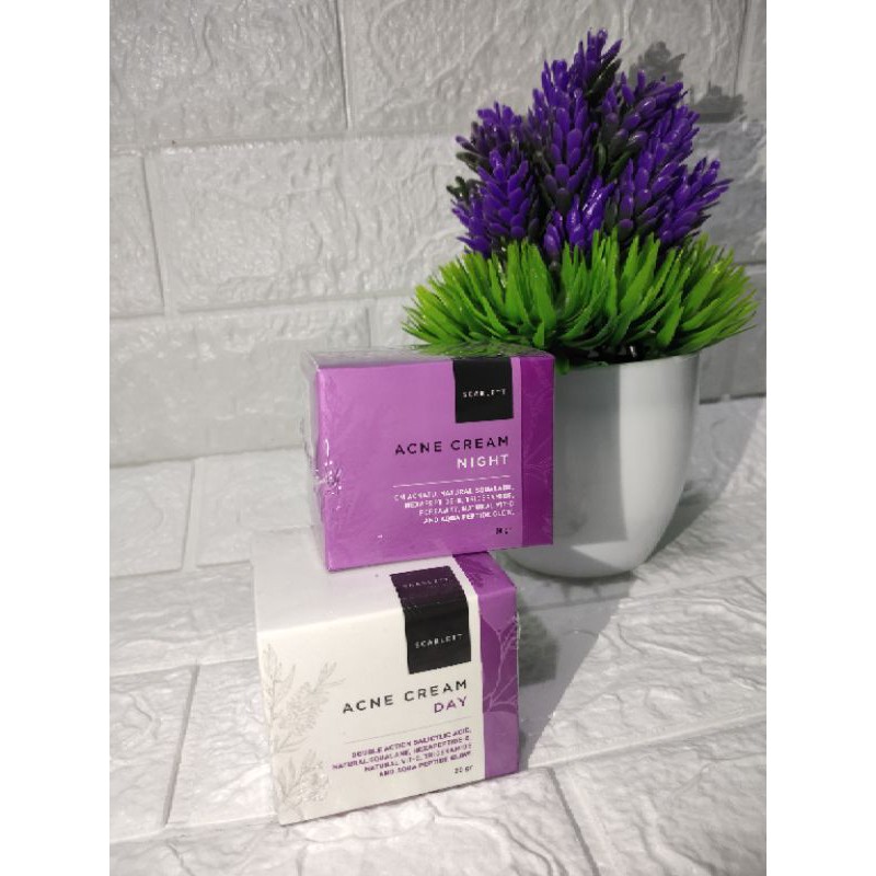 Promo paket acne cream by scarlett whitening