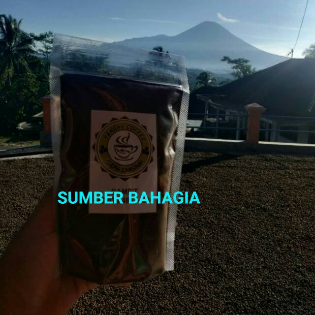 

Kopi Robusta Tangkil Dampit