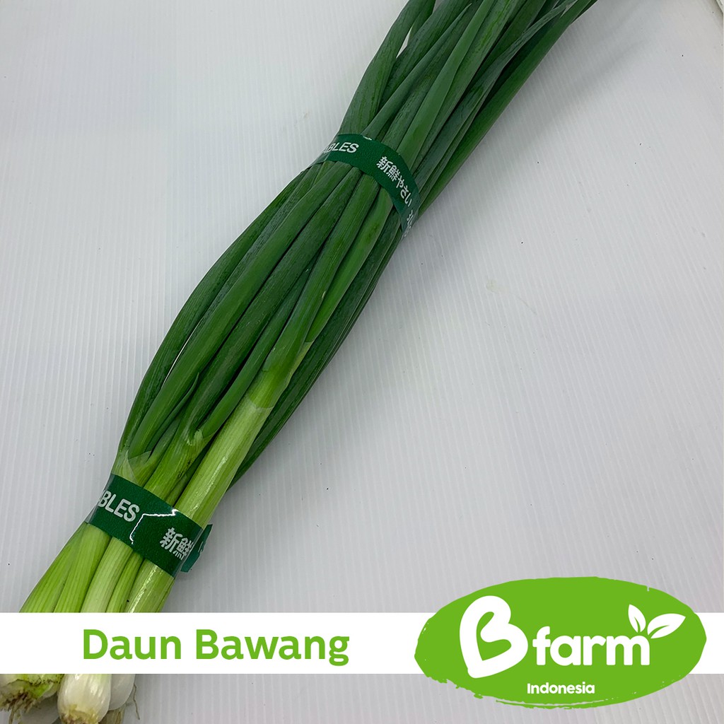 

Bawang Daun 250 Gr (Area Bandung & Cimahi only) - Sayur Rumahan