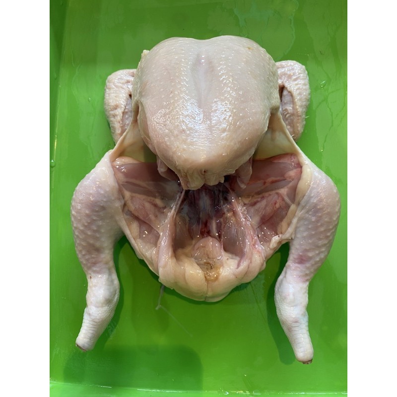 

Ayam Potong Broiler Segar 1kg