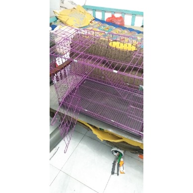 kandang kucing lipat tingkat