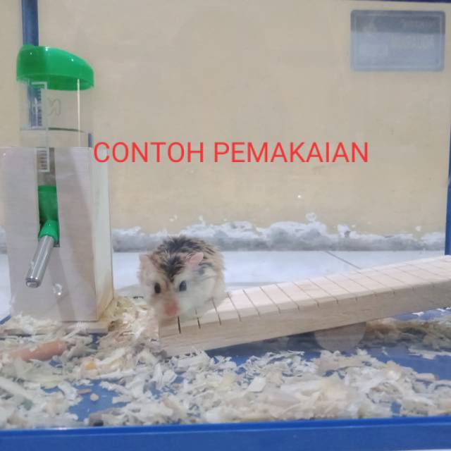 MAINAN HAMSTER - JUNGKAT JUNGKIT KAYU SOLID