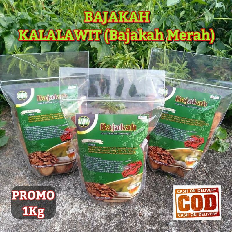 

FREE ONGKIR BAJAKAH KALALAWIT MERAH