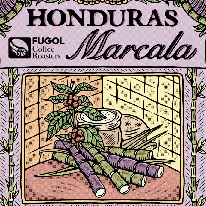 

[ COD ] Honduras Marcala ( 200 gram) Specialty Beans Coffee Biji Kopi HEMAT Kode 1186