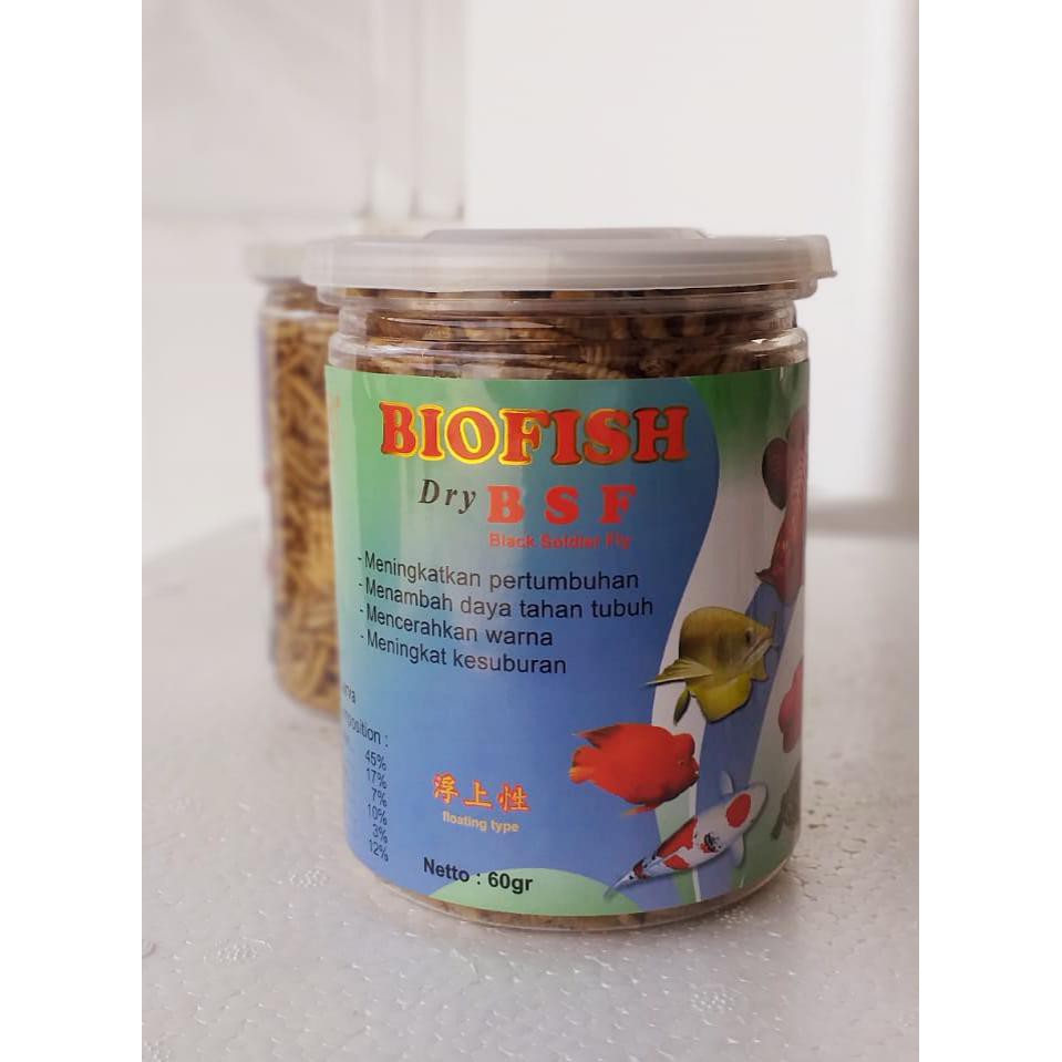 BIO FISH - Maggot BSF Makanan Ikan Toples 70gr