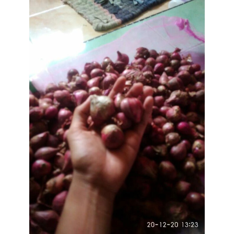 

bawang merah