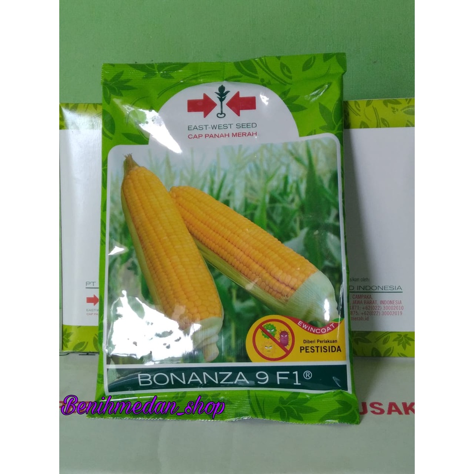 Benih Jagung Manis Bonanza 9 F1 isi 1800 butir