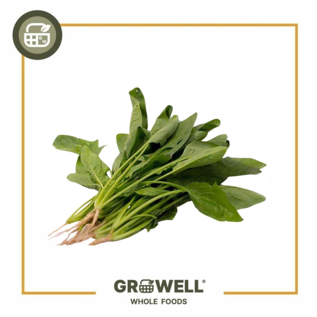 

BIONIC BAYAM JEPANG ORGANIC - HORENSO