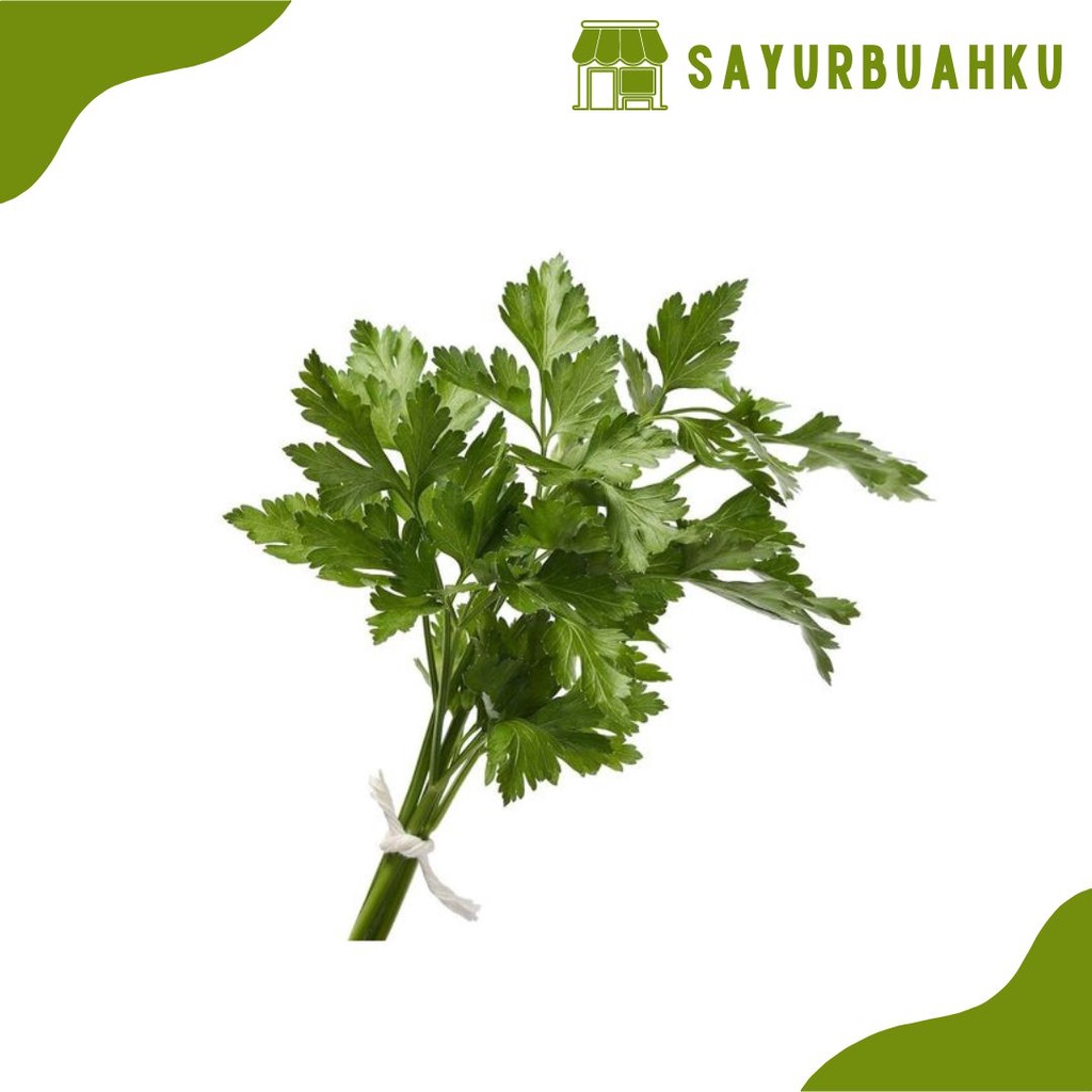 

seledri hijau segar/ ikat