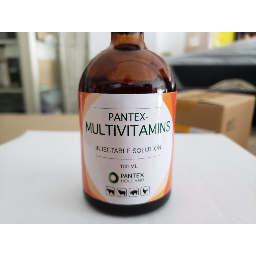 PANTEX- MULTIVITAMINS 100ml