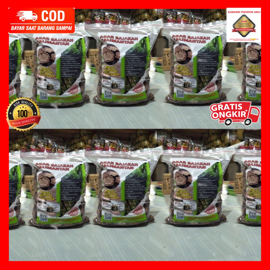 [GRATIS ONGKIR] AKAR BAJAKAH | KAYU BAJAKAH ASLI KALIMANTAN | BAJAKAH TAMPALA SUPER ORIGINAL | KAYU 