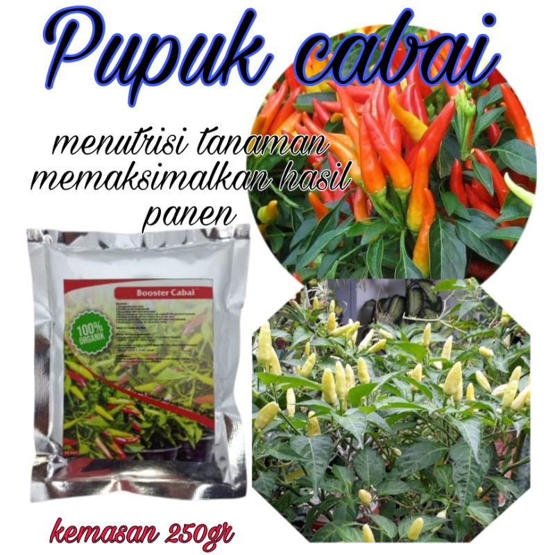 Pupuk organik cabe pupuk cabe booster cabe