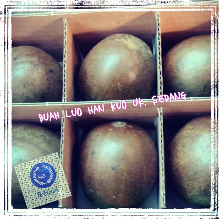 

BUAH LUO HAN KUO UK.BESAR