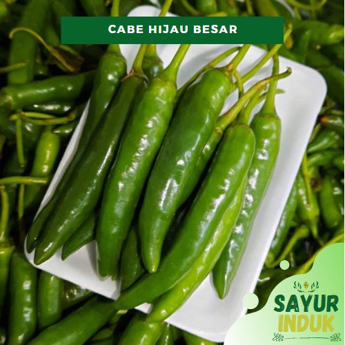 

Sayur Induk - Cabe Hijau Besar 250 Gram Fresh Grade A Cabai Besar