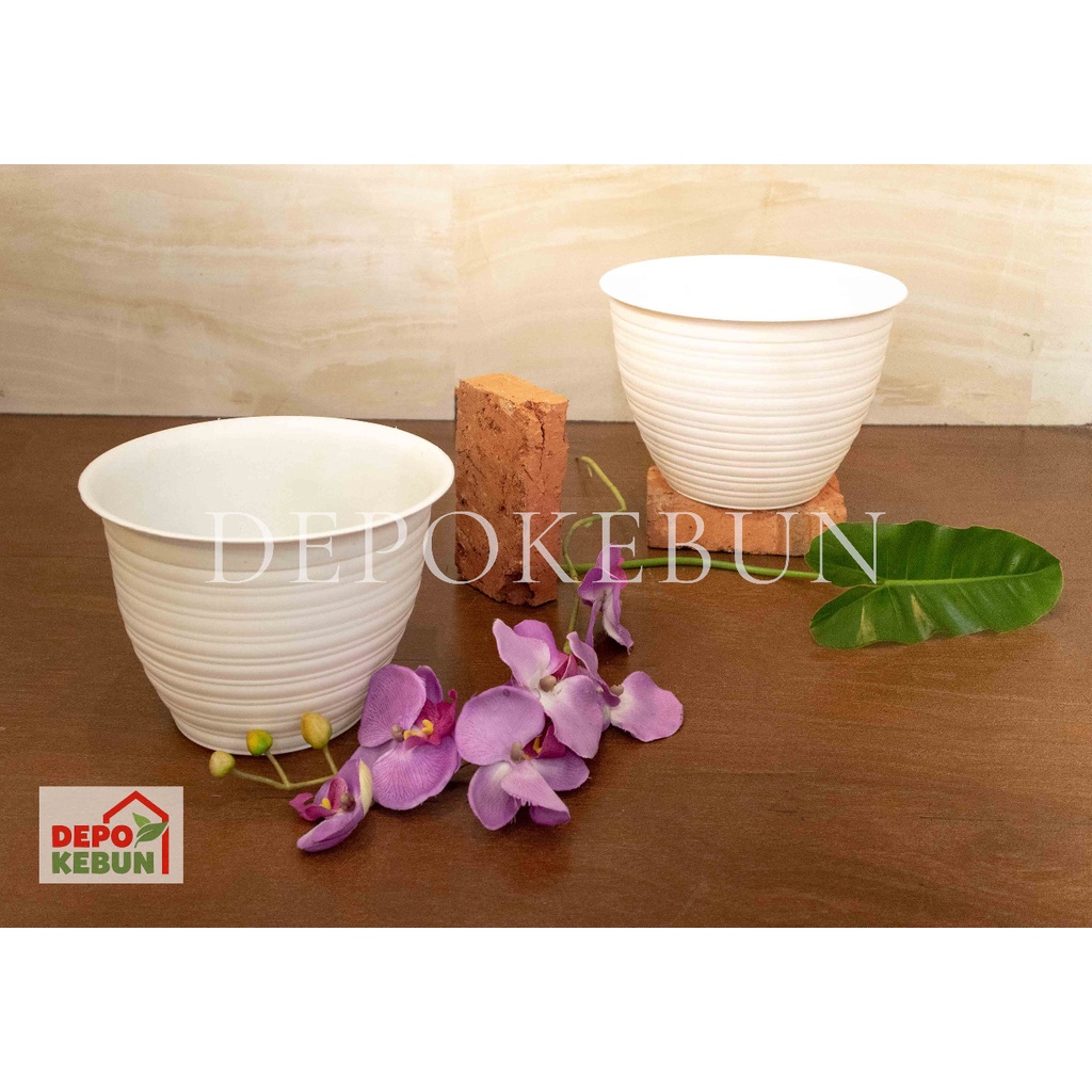 POT TAWON MADU 17 PUTIH POT KEONG 17 PUTIH POT PUTIH POT 17 PUTIH