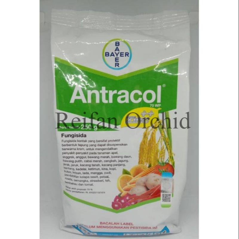 

FUNGI SIDA ANTRACOL 250gr