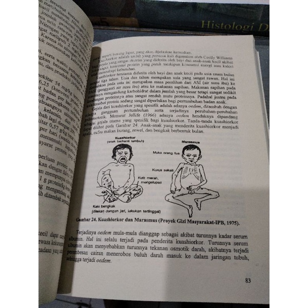 BUKU KIMIA PANGAN DAN GIZI EDISI TERBARU TH.2008