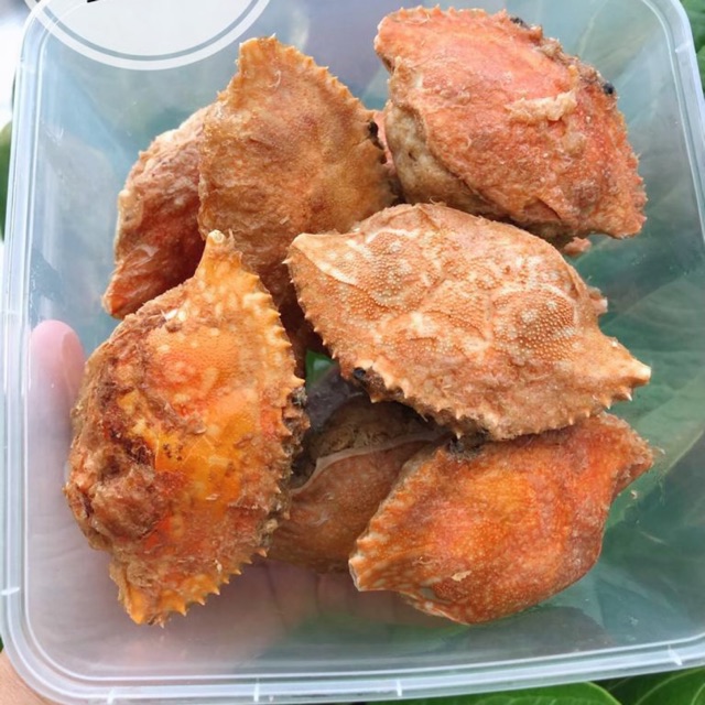 

Kepiting buncit / ketam isi /kepiting isi