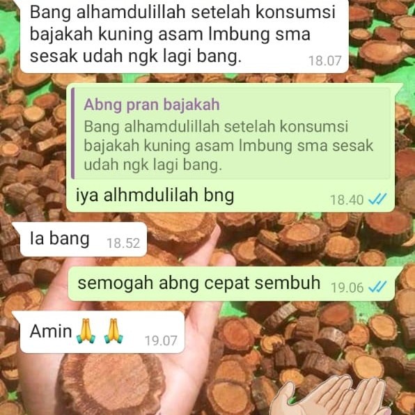 [100% Asli + Cepat Sembuh] Akar Bajakah Kuning Asli Kalimatan Obat Herbal Tumor Kanker Asam Lambung