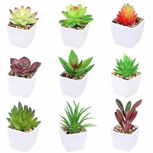 kaktus latex kaktus SUKULEN bunga plastik artificial dekorasi rumah