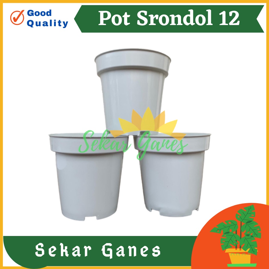 Pot Tinggi Srondol 12 PUTIH - Pot Tinggi Usa Effiel 18 20 25 Lusinan Pot Tinggi Tirus 15 18 20 30 35 40 50 Cm Paket murah isi 1 lusin pot bunga plastik pot tanaman Pot Bibit Besar Mini Kecil Pot Srondol Pot Bunga Termurah Bahan Bagus