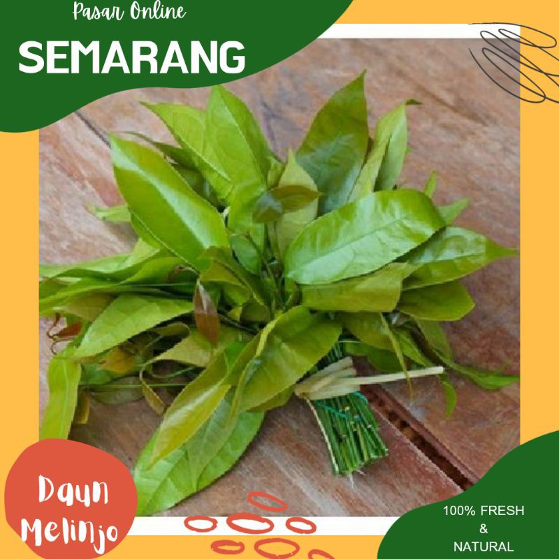 

Sayur Sayuran Segar / Daun So / Melinjo / Mlinjo / Godong / Dong / So / Melinjo / Belanja Sayur /Smg