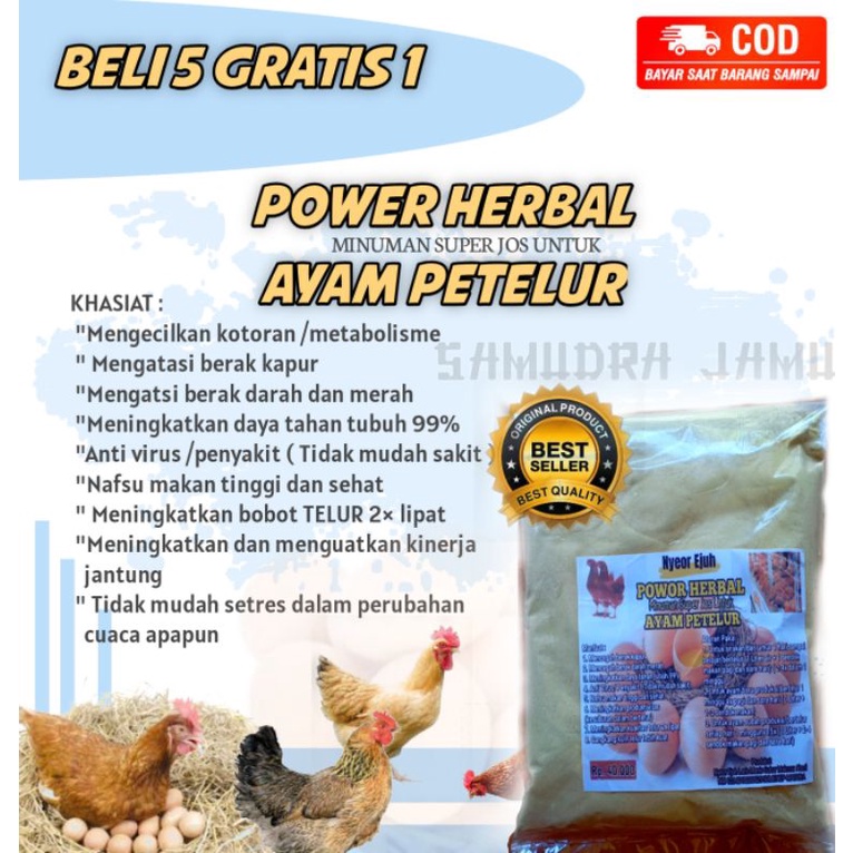 Nyeor ejhu vitamin untuk ayam petelur power herbal ayam petelur