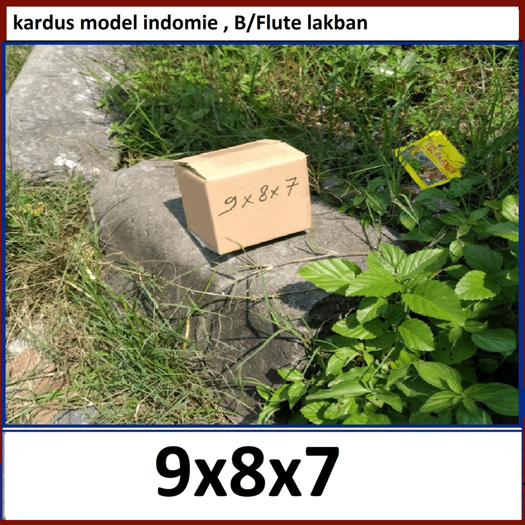 

Kardus 9x8x7 cm IND