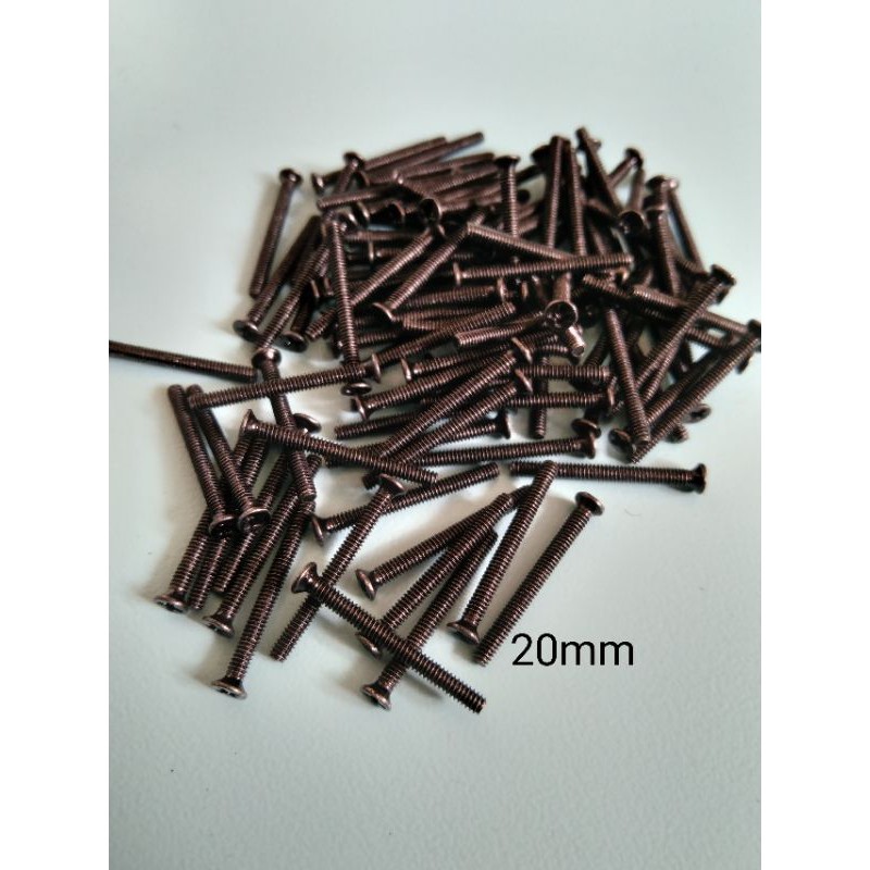 BAUT 2MM KEPALA RATA / BAUT GEPENG M2/SCREW M2(100pcs)