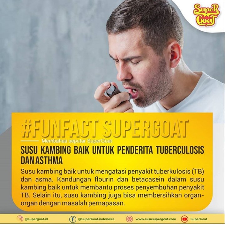 

SUSU KAMBING ETAWA SUPERGOAT ASLI RASA GULA AREN ENAK TIDAK PRENGUS