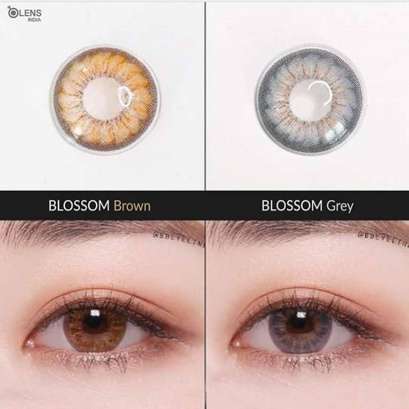 ORIGINAL SOFTLENS BLOSSOM 3CON BROWN / GREY KITTY KAWAI soflens softlenses