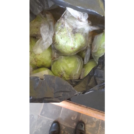 

jambu kristal