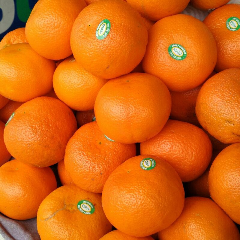 

Jeruk mandarin/kg