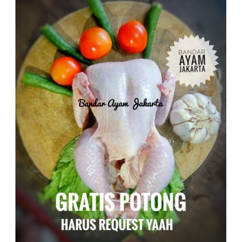 

Ayam Utuh 1 Karkas Potong Uk 10/1000 - 1100 gram/Uk10 - 11/Ayam Karkas/Ayam Broiler/Ayam Beku