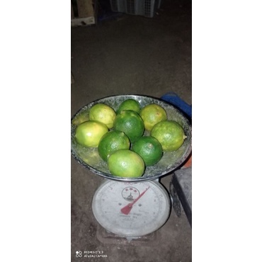 

JERUK LEMON 1KG