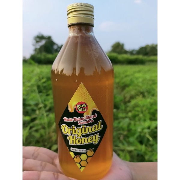 

MADU ASLI MURNI HUTAN SUMATRA