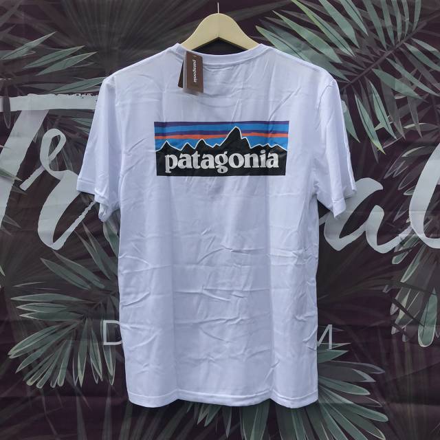 Get Patagonia Logo Polos Images
