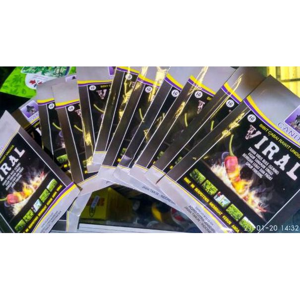 [COD] √COD] Benih biji bibit cabe rawit merah VIRAL - bibit cabe rawit unggul terbaik - isi 100 repa